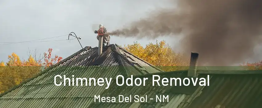 Chimney Odor Removal Mesa Del Sol - NM
