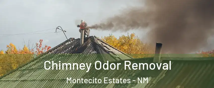 Chimney Odor Removal Montecito Estates - NM