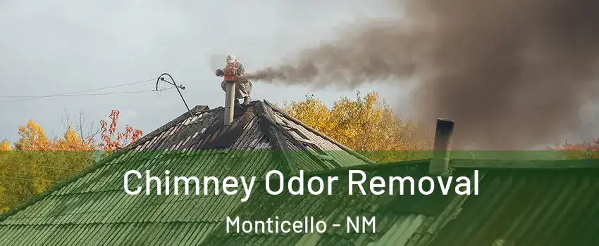 Chimney Odor Removal Monticello - NM