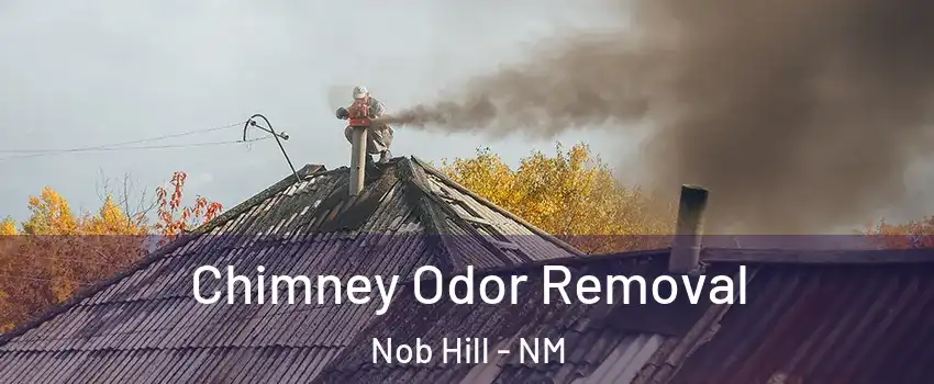 Chimney Odor Removal Nob Hill - NM