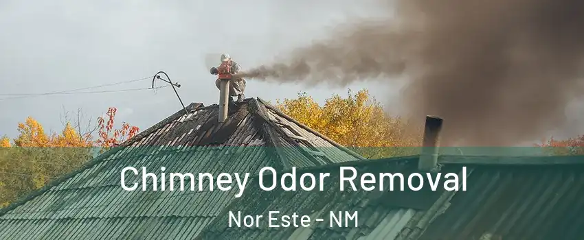 Chimney Odor Removal Nor Este - NM