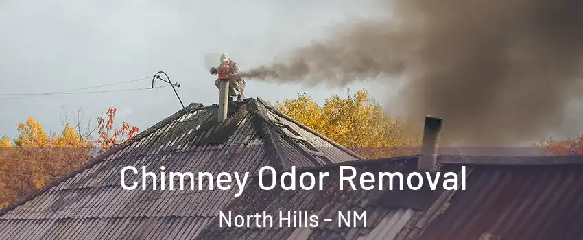 Chimney Odor Removal North Hills - NM