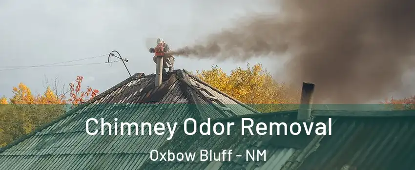 Chimney Odor Removal Oxbow Bluff - NM