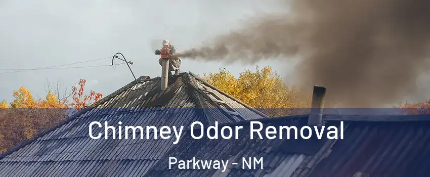 Chimney Odor Removal Parkway - NM