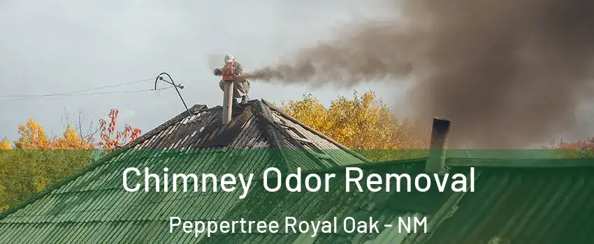 Chimney Odor Removal Peppertree Royal Oak - NM