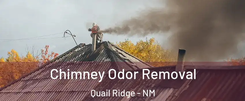 Chimney Odor Removal Quail Ridge - NM