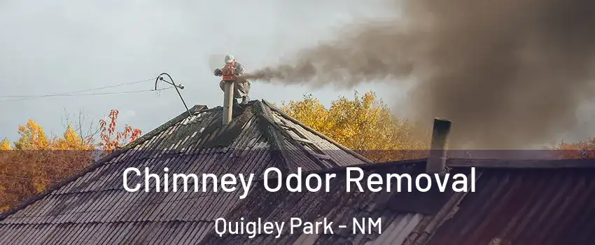 Chimney Odor Removal Quigley Park - NM