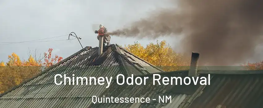 Chimney Odor Removal Quintessence - NM