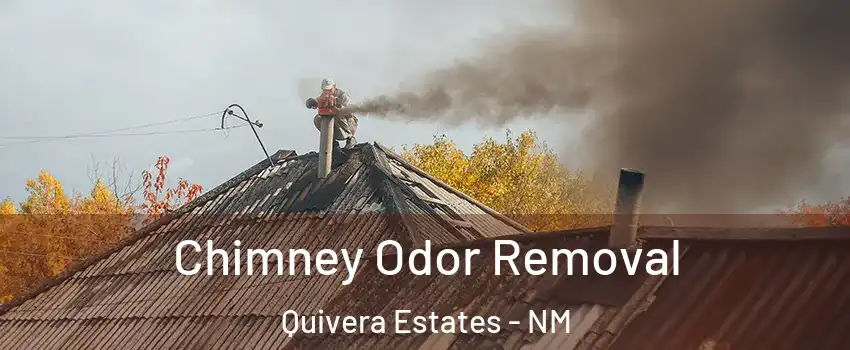 Chimney Odor Removal Quivera Estates - NM