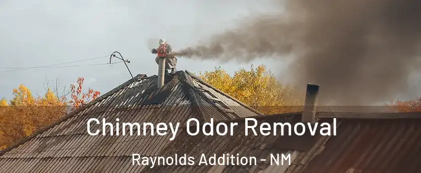 Chimney Odor Removal Raynolds Addition - NM
