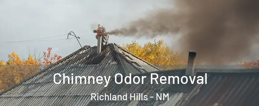 Chimney Odor Removal Richland Hills - NM