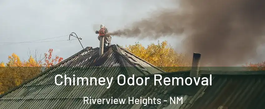 Chimney Odor Removal Riverview Heights - NM