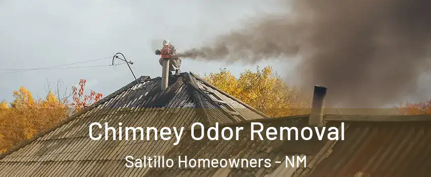 Chimney Odor Removal Saltillo Homeowners - NM