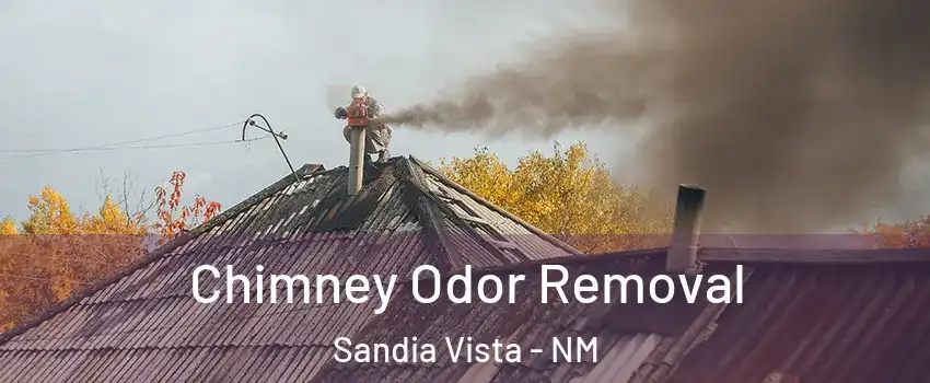Chimney Odor Removal Sandia Vista - NM