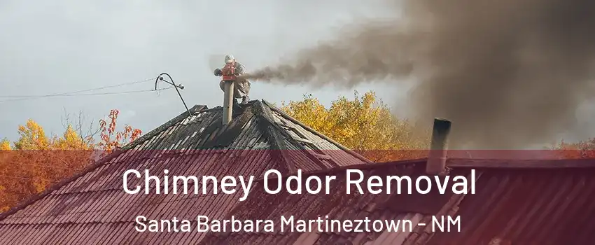 Chimney Odor Removal Santa Barbara Martineztown - NM