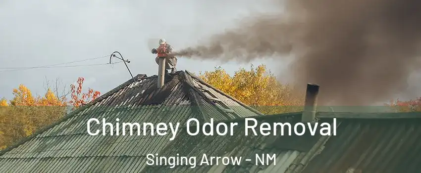 Chimney Odor Removal Singing Arrow - NM