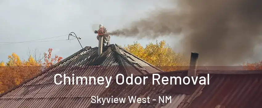 Chimney Odor Removal Skyview West - NM