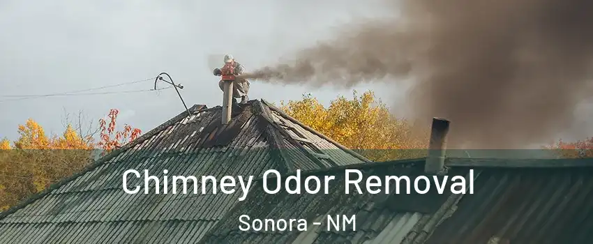 Chimney Odor Removal Sonora - NM