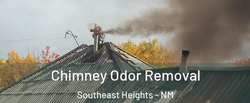 Chimney Odor Removal Southeast Heights - NM