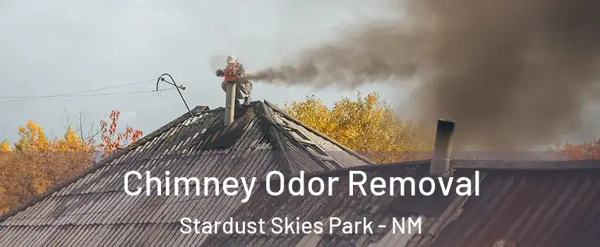 Chimney Odor Removal Stardust Skies Park - NM