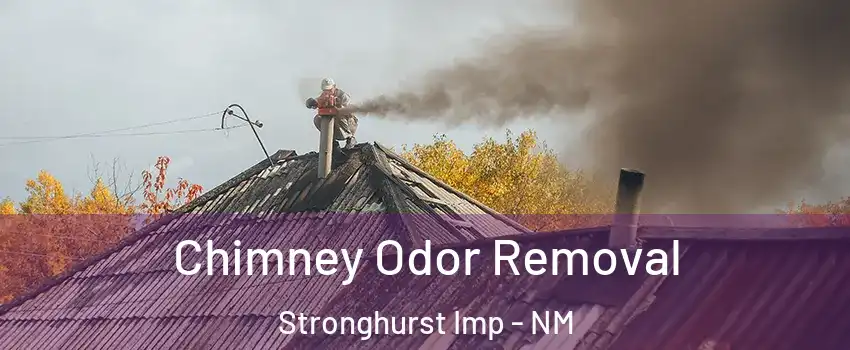 Chimney Odor Removal Stronghurst Imp - NM