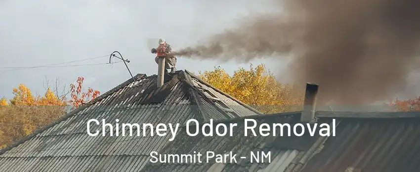 Chimney Odor Removal Summit Park - NM