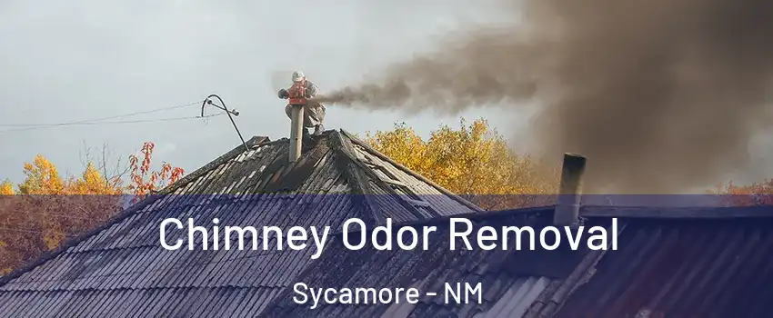 Chimney Odor Removal Sycamore - NM