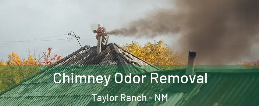 Chimney Odor Removal Taylor Ranch - NM
