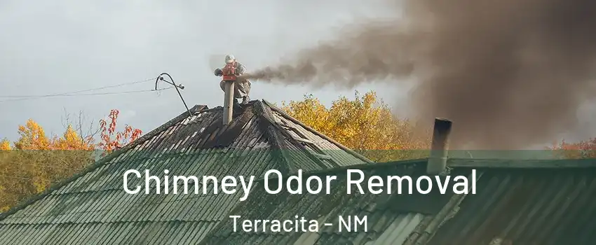 Chimney Odor Removal Terracita - NM