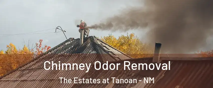 Chimney Odor Removal The Estates at Tanoan - NM