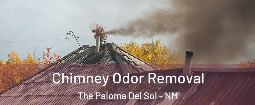 Chimney Odor Removal The Paloma Del Sol - NM
