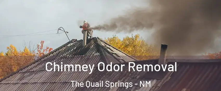 Chimney Odor Removal The Quail Springs - NM