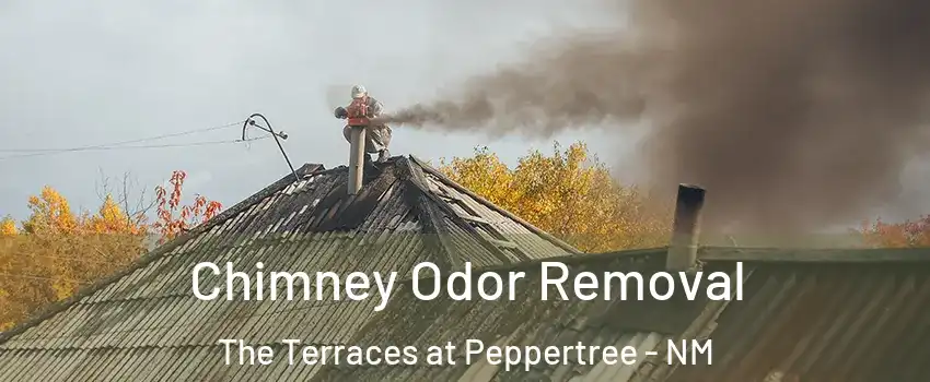 Chimney Odor Removal The Terraces at Peppertree - NM