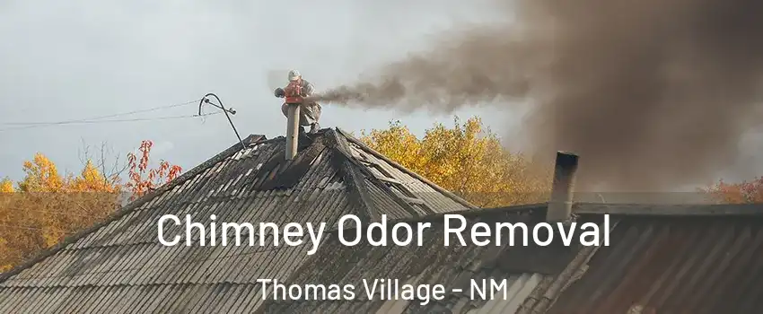 Chimney Odor Removal Thomas Village - NM