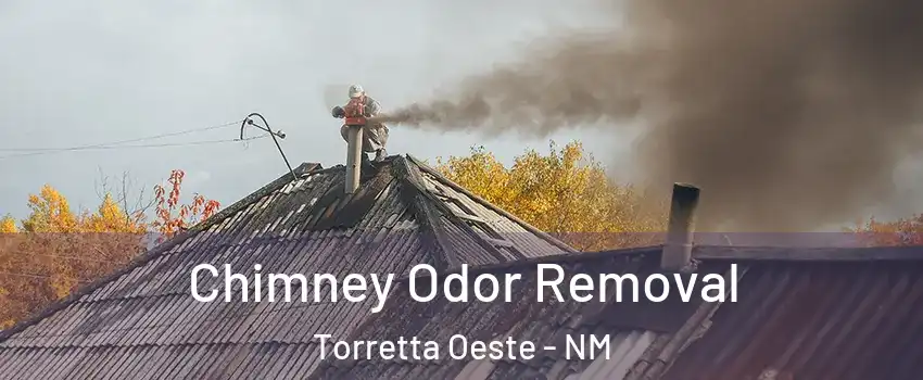 Chimney Odor Removal Torretta Oeste - NM