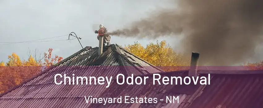 Chimney Odor Removal Vineyard Estates - NM