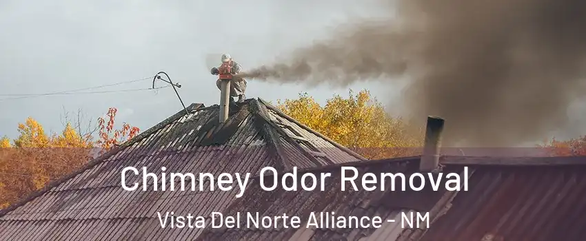 Chimney Odor Removal Vista Del Norte Alliance - NM