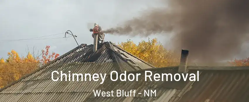 Chimney Odor Removal West Bluff - NM