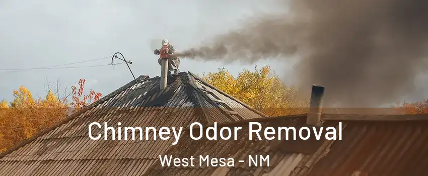 Chimney Odor Removal West Mesa - NM