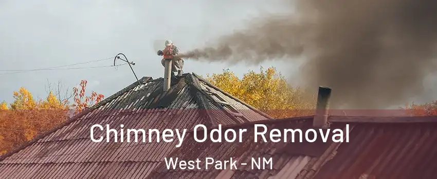 Chimney Odor Removal West Park - NM