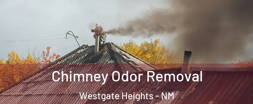Chimney Odor Removal Westgate Heights - NM