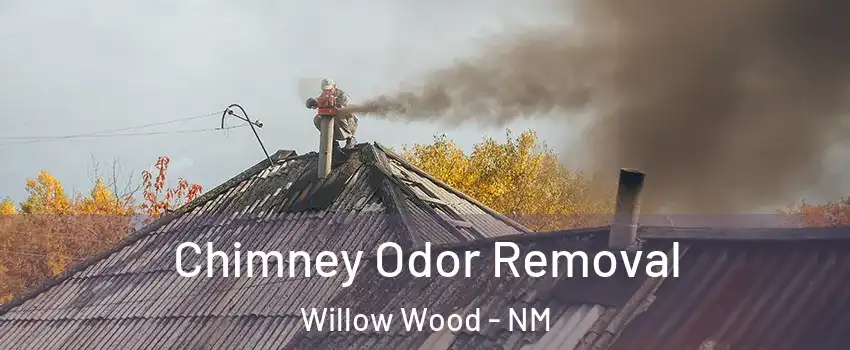 Chimney Odor Removal Willow Wood - NM