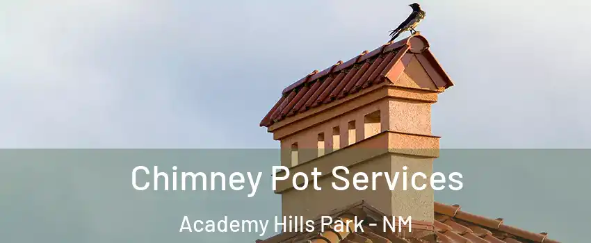 Chimney Pot Services Academy Hills Park - NM