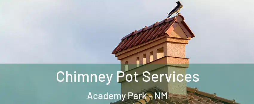 Chimney Pot Services Academy Park - NM