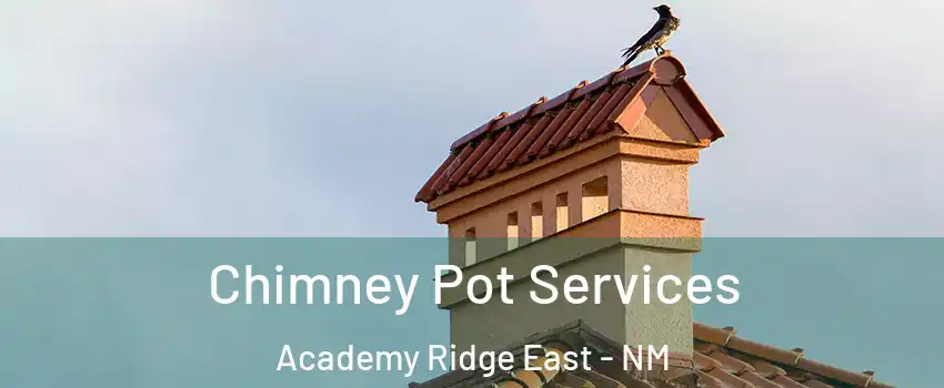 Chimney Pot Services Academy Ridge East - NM