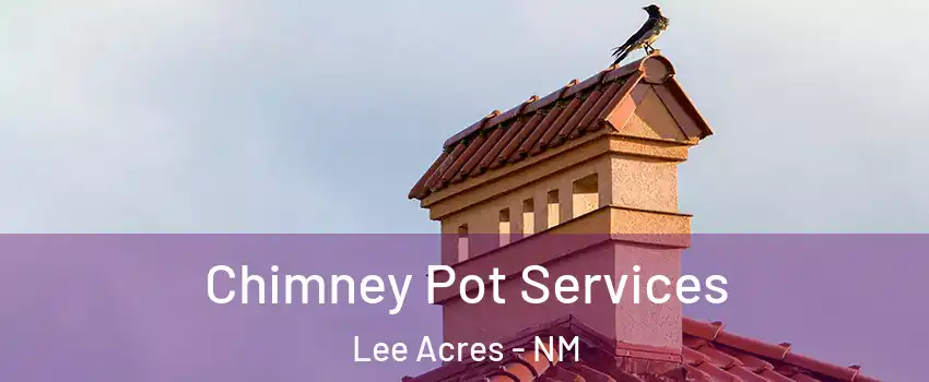 Chimney Pot Services Lee Acres - NM