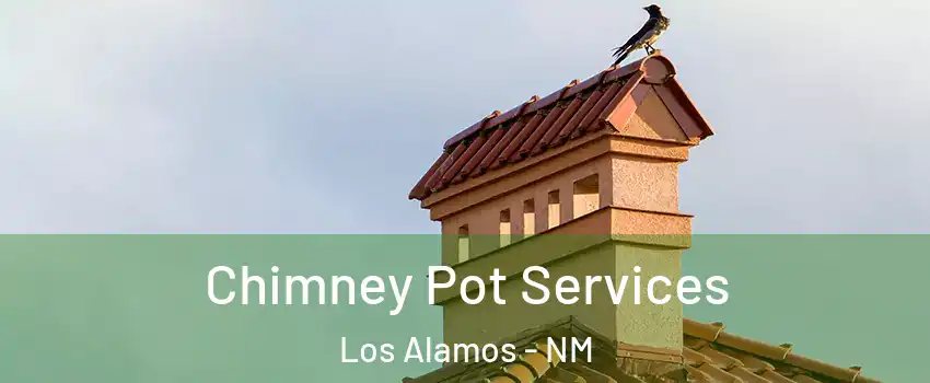 Chimney Pot Services Los Alamos - NM
