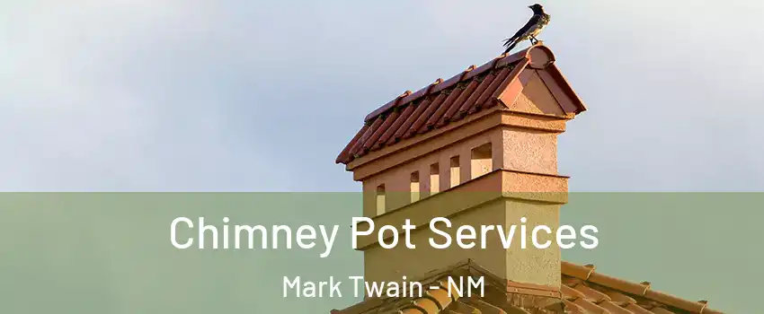 Chimney Pot Services Mark Twain - NM