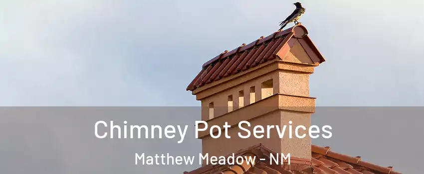 Chimney Pot Services Matthew Meadow - NM