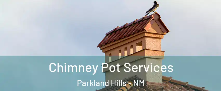 Chimney Pot Services Parkland Hills - NM